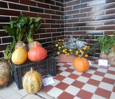 Výstava ovoce, zeleniny a květin 29.-30.10.2022