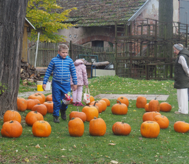 1.11.2025 Dlabání dýní.