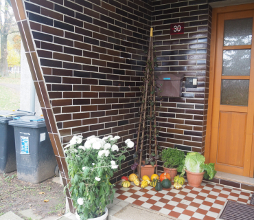 1.11.2025 výstava zahrádkářů