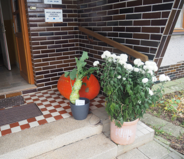 1.11.2025 výstava zahrádkářů