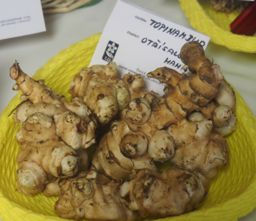 1.11.2025 výstava zahrádkářů