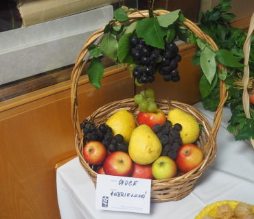 1.11.2025 výstava zahrádkářů