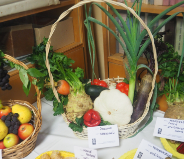 1.11.2025 výstava zahrádkářů