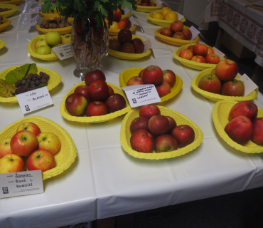 1.11.2025 výstava zahrádkářů