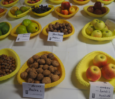 1.11.2025 výstava zahrádkářů