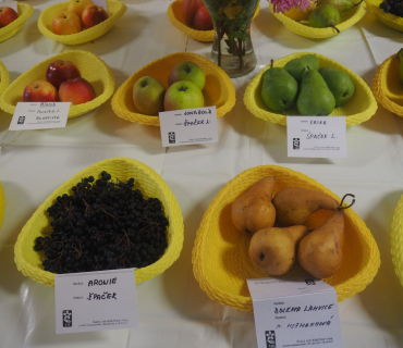 1.11.2025 výstava zahrádkářů