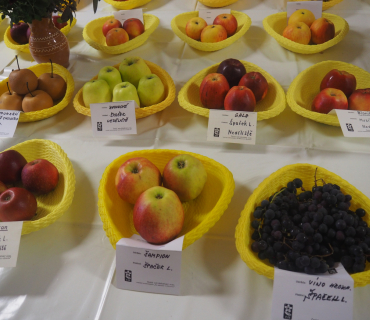 1.11.2025 výstava zahrádkářů