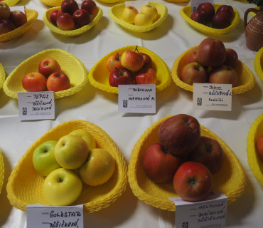 1.11.2025 výstava zahrádkářů