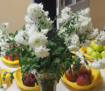 1.11.2025 výstava zahrádkářů