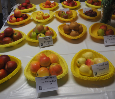 1.11.2025 výstava zahrádkářů